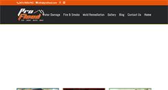 Desktop Screenshot of proflood.com
