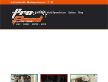 Tablet Screenshot of proflood.com